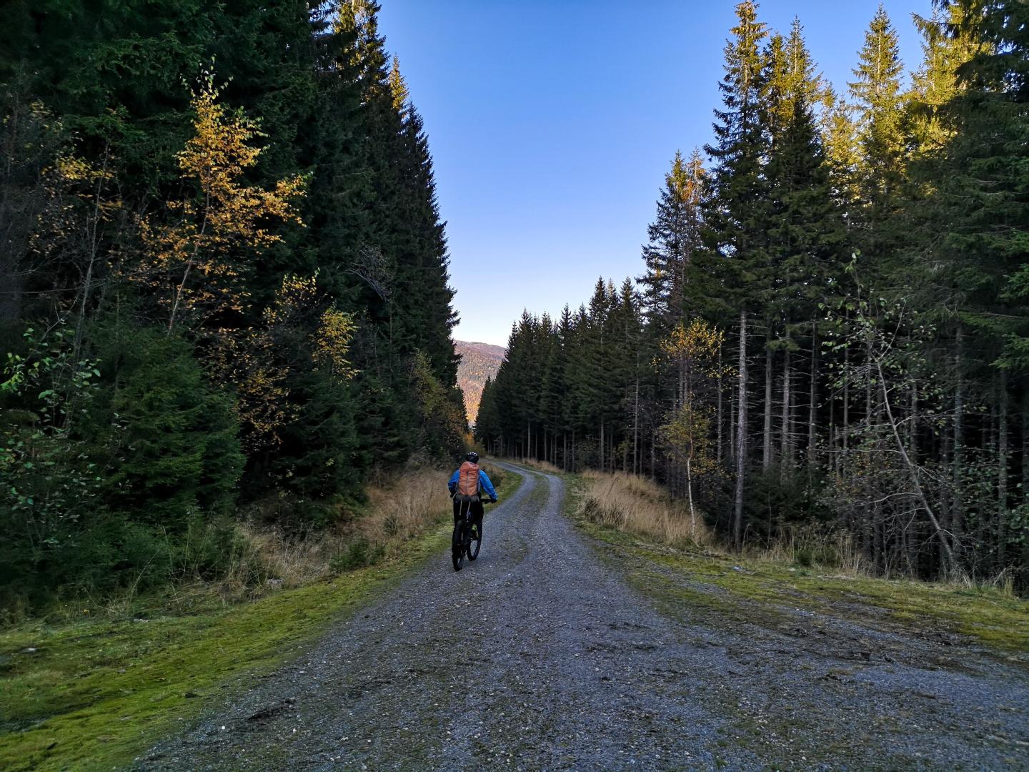 kvanndal utne ferge and mary