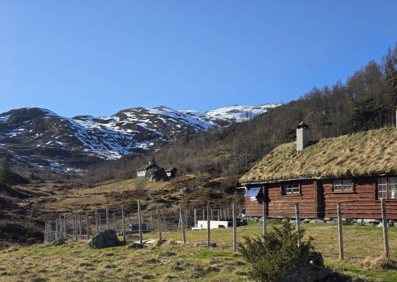Tingsteinen - Aunaset - Spildo