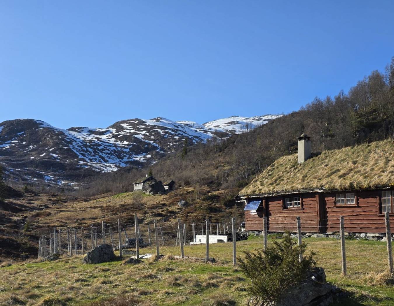 Tingsteinen - Aunaset - Spildo